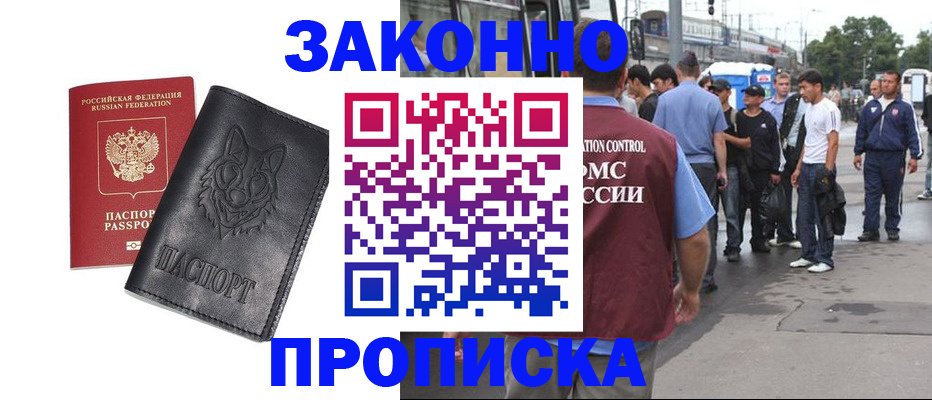 прописка поиск в Бородино